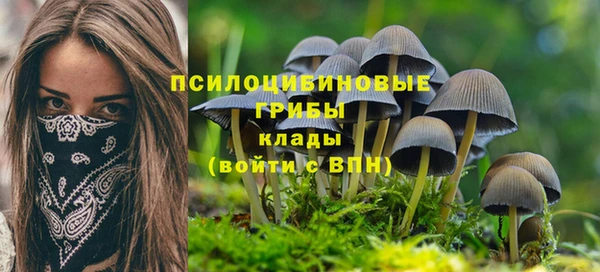 ECSTASY Баксан