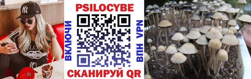 мега ссылка  даркнет сайт  Пучеж  Псилоцибиновые грибы MAGIC MUSHROOMS 